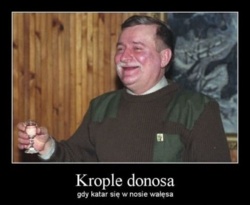 19a9890d-6e1d-400e-a2f3-fd55edb43727