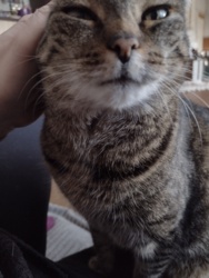 d165f48e-f18f-42bf-9a44-bfeed7c4a1b0