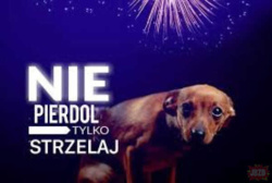 3fb2dc6e-e264-4bfd-962d-ed36f9c89913