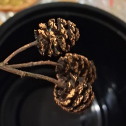 af529bf5-5fc2-48a9-8f38-91e41eb60fe1