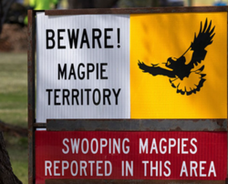 bb32882a-bd3d-4d04-b9d7-e4016c01d767