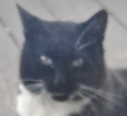 33d8e2cc-ac69-49c0-9f49-1ee66f276f0a