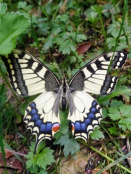 bb55f42f-be98-4c25-9d71-589afccce5db