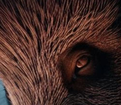 5a9bfd86-af34-4840-8962-c9db1a795a56