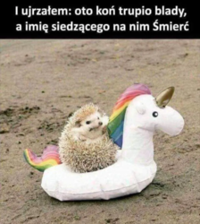 faab9cf1-216f-4eb0-904d-6af15374cf73