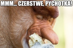 2344060a-f5bb-419d-b4de-aaf9c4887d71