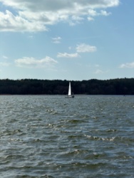 202880cc-746c-4177-893f-2eeb05e9cdb1