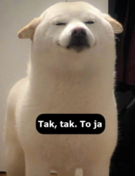 e51be3f2-d628-4ba2-abda-75b484f7cd69