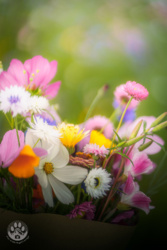 1d1854d5-376a-4f52-855f-37aa72c977a7