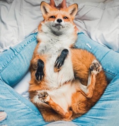 91c355c0-2fd7-4298-a159-c1c59494c7e4