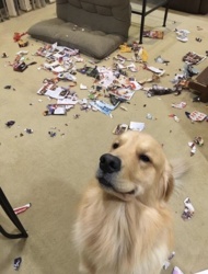 eba0d2d4-f479-46c7-8518-e74dc5417148