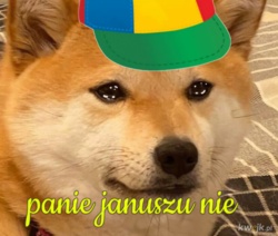 254c6631-bf80-4675-b347-a5ca20e8bc55