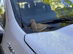 c72d7d8f-2b43-43d6-add3-9eb431f9195a