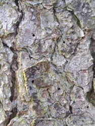 73876f40-caf8-403d-9e46-565609a8625b