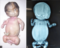 2b8a01a9-ad22-4cde-8d75-f9d898ade544