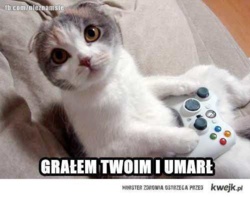 944a27ce-48f6-4bdc-b3a6-db6295a45156