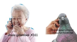 127227d7-73a5-4ab9-8696-d0f27ab30ff4