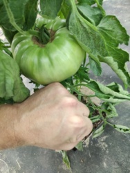 6a6bbdb0-4089-4ab2-9177-f01c6cc11b32