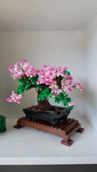 04074d5a-12c4-48dd-abdd-fb2e4943da3e