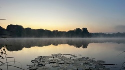 86e94731-838e-4acb-a5ed-4cd344612d16