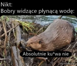 e70f0b12-d0a8-40b1-b93b-40c8504c8b7b