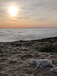 f0166290-3aaa-499b-8561-b2004e2b1b80