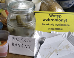 d4fca2b5-29ea-4315-b87a-18fc1749ce4a