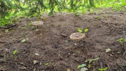 e8e4c435-658e-43fe-9b2a-a74020e96192