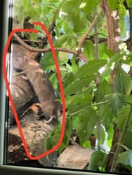 0e7b9dac-0195-4386-95bf-256afe46c8b4