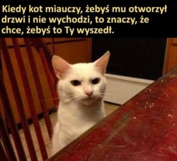 f1329811-71a2-4f07-93e7-220caa8bffde