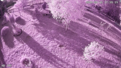 3a9f59ca-b7e1-4911-b9cd-cace8658275d