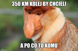 aeea6574-9823-498e-919d-72ae394c0361