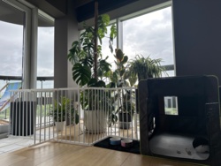 cb397485-f4ae-48a1-a370-65928dc28e82