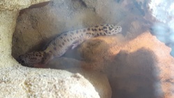 ac5cbe8f-d401-4a37-a971-bd15084070a1