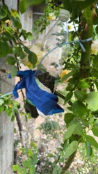 4acfa35f-fb27-4960-9ea4-7fb6f5a45d0d