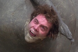 f8bc1f6f-5510-42bd-9799-644d5a195ebc