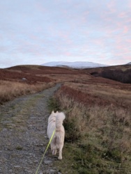 c25187fb-2bab-4ef7-ab3f-b7f9f4b58d1d