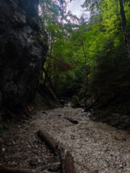 bf4ca6bb-21b0-410b-a8b8-19ec23991992