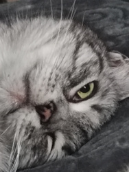 bc4fc489-9c6d-449d-b33e-3a983781f39f