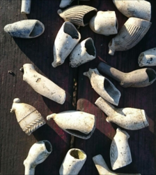 f196d0db-7046-423e-a8eb-9ed3c4bc0b4a