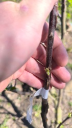 c03b97b6-654c-44c9-9c5a-d91d84670dfd