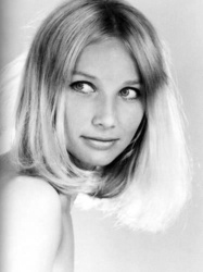 3ffccb1e-811d-45e6-be83-3d97af506072