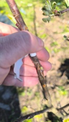 77237e3b-d328-4698-adaa-c7d03ab9cd32