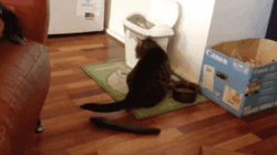 a1093b63-81bd-45db-a67e-6ecb70d9a4cd