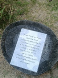 5b5de971-691f-47ea-8945-3586f8306674