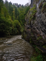 9fa6c32d-ff2e-4898-bacf-08333ddbb4ca