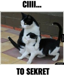 0a0dc4fd-209e-44f0-b177-7966d642c6f1