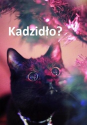 949f10c3-f366-42e7-b3fb-37401beb933d