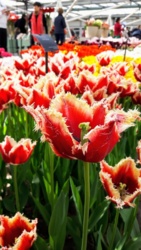 b836c4fe-d06c-4b6e-b680-5ea4276ca099