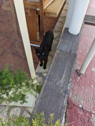 44c338e4-6ffe-4ea4-8cbc-a79abce4d672